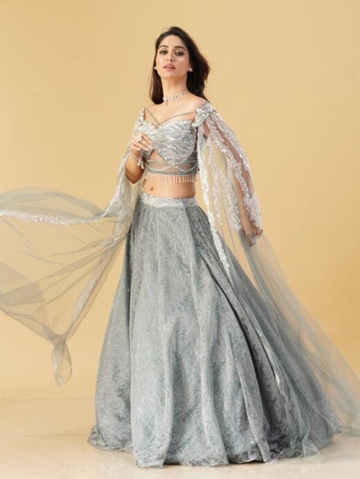 Grey Color Lehenga and Crop Top
