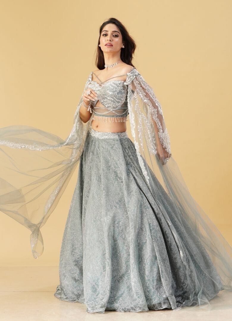 Grey Color Lehenga and Crop Top