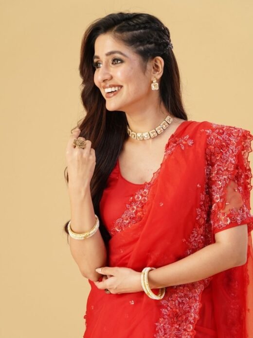 Red Organza Embroidered saree