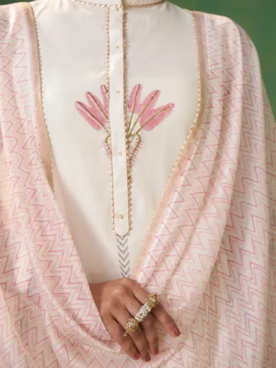 Offwhite Pure Chanderi & Liva Salwar Suit - Image 5
