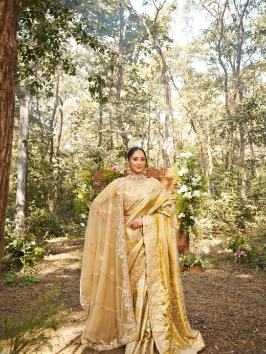 Antique Gold Woven Silk Saree with Heavy Zardosi Border